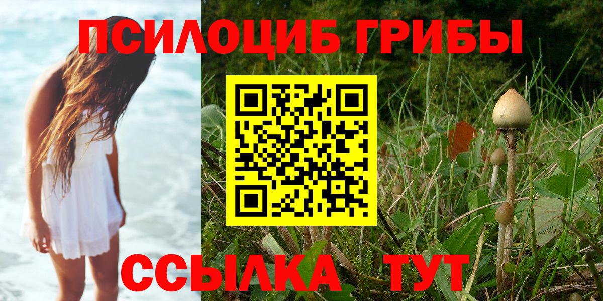 Иваново  Галлюциногенные грибы Magic Shrooms  Вход с VPN  Псилоцибиновые грибы ЛСД 