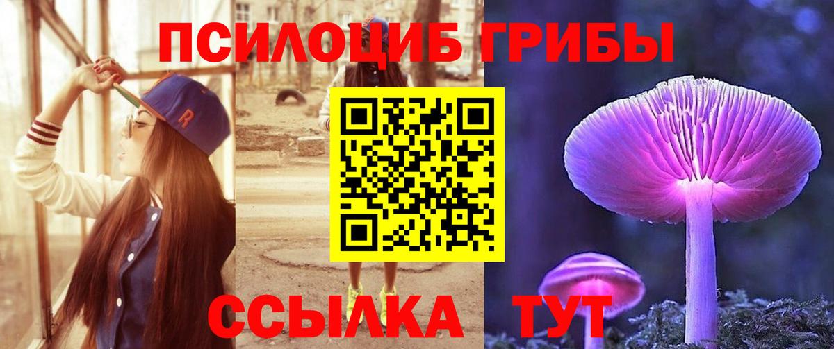 Галлюциногенные грибы GOLDEN TEACHER Иваново